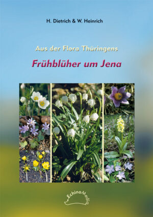 Frühblüher um Jena